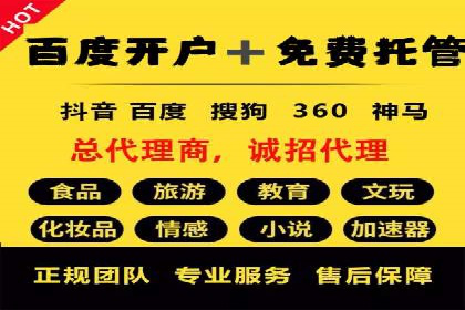 百度竞价广告运营的技巧与误区：成功案例解析
