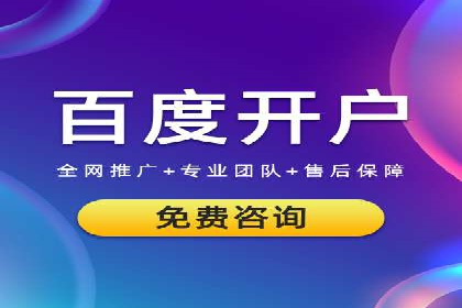 竞价排名案例：跨平台推广效果分析